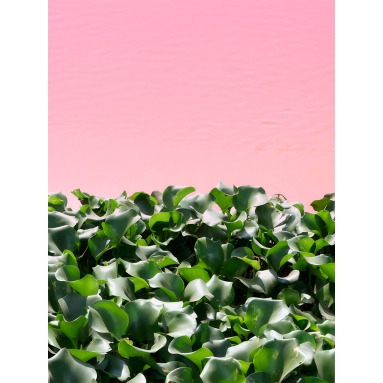 Lámina Estampado Bohemio