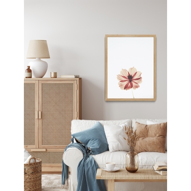 Lámina Flor de Luz 2