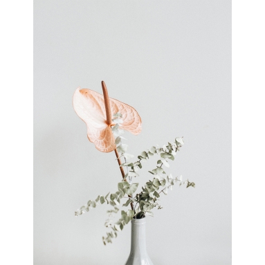 Lámina Flor Leganza