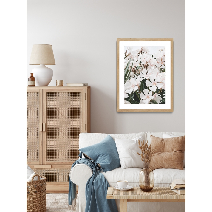 Lámina Flores Blancas 5 Pétalos