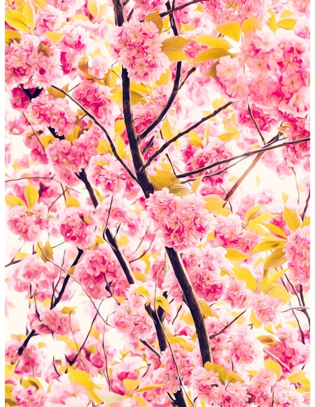 Lámina Flores Rosas