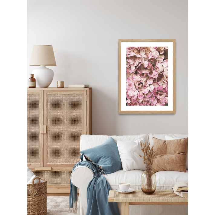 Lámina Flores Rosas 5