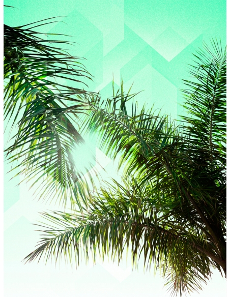 Lámina Hoja de Palma