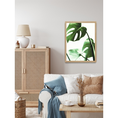 Lámina Hoja Monstera 2