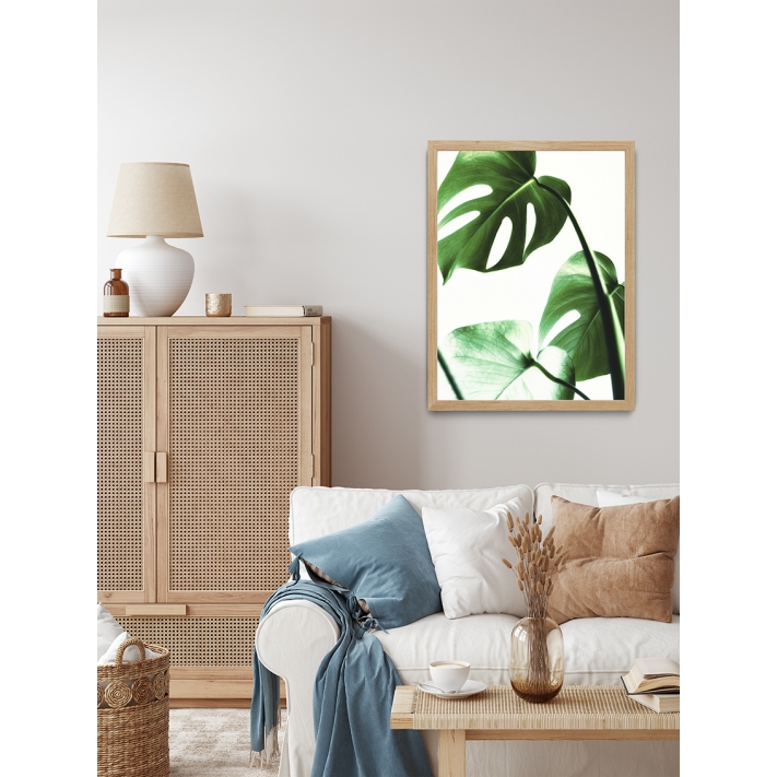 Lámina Hoja Monstera