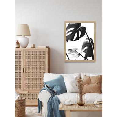 Lámina Hoja Monstera 2