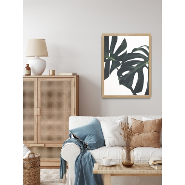 Lámina Hoja Monstera 3 2