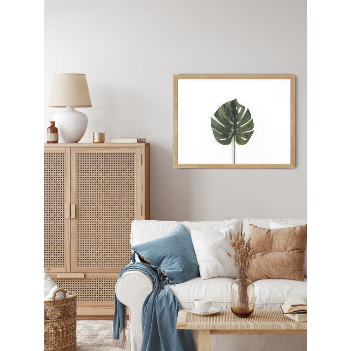 Lámina Hoja Monstera 4 Lámina Hoja Monstera 4