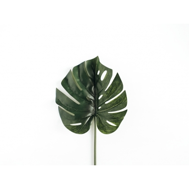 Hoja Monstera