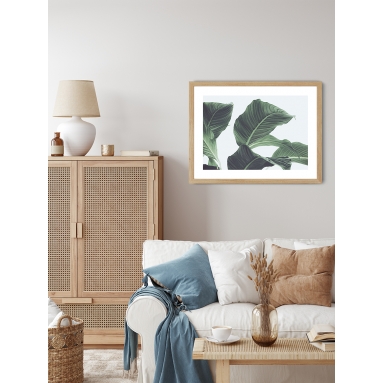 Lámina Hoja Palmera 2