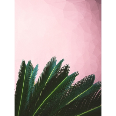 Lámina Hoja Palmera2