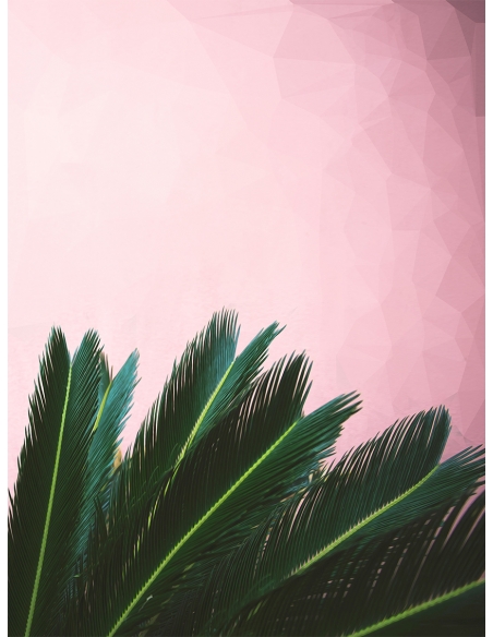 Lámina Hoja Palmera2