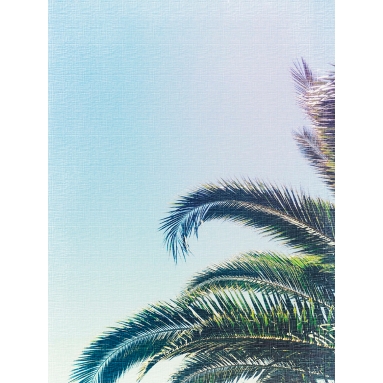 Lámina Hoja Palmera3