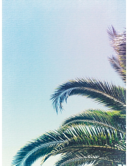 Lámina Hoja Palmera3