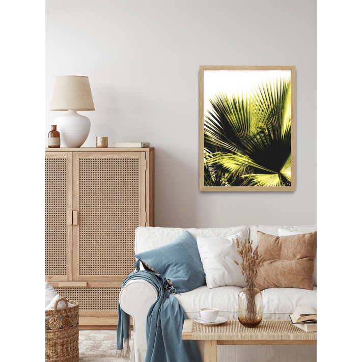 Lámina Hoja Palmera 5