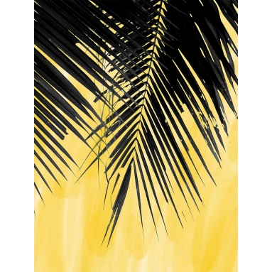 Lámina Hoja Palmera