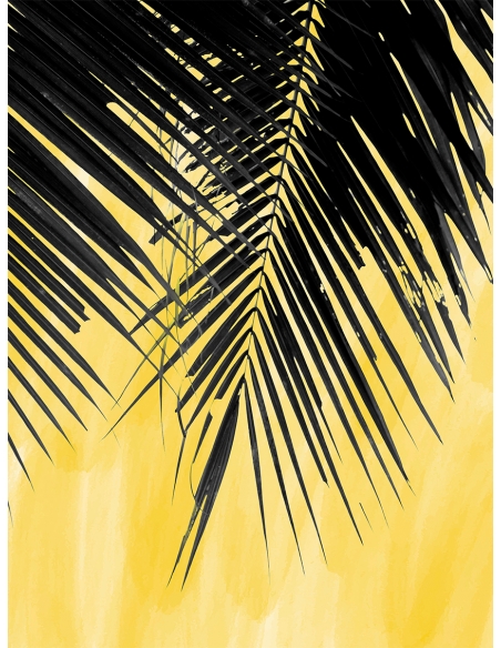 Lámina Hoja Palmera