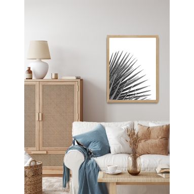 Lámina Hoja Palmera 2