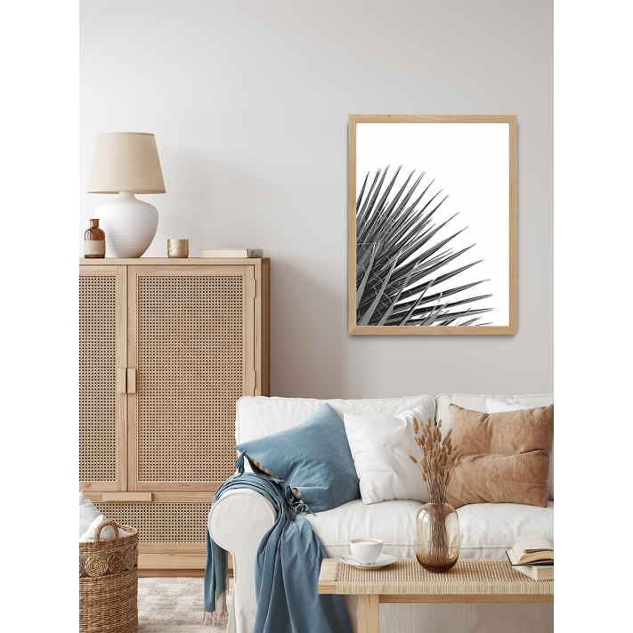 Lámina Hoja Palmera 8