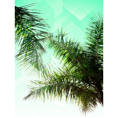 Lámina Hoja Palmera