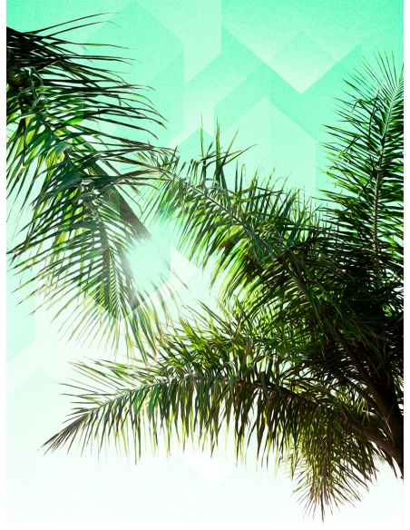 Lámina Hoja Palmera