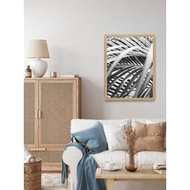 Lámina Hoja Palmera 2