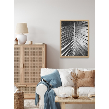 Lámina Hoja Palmera 2