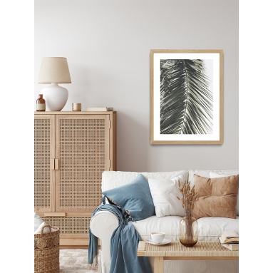Lámina Hoja Palmera 24 2