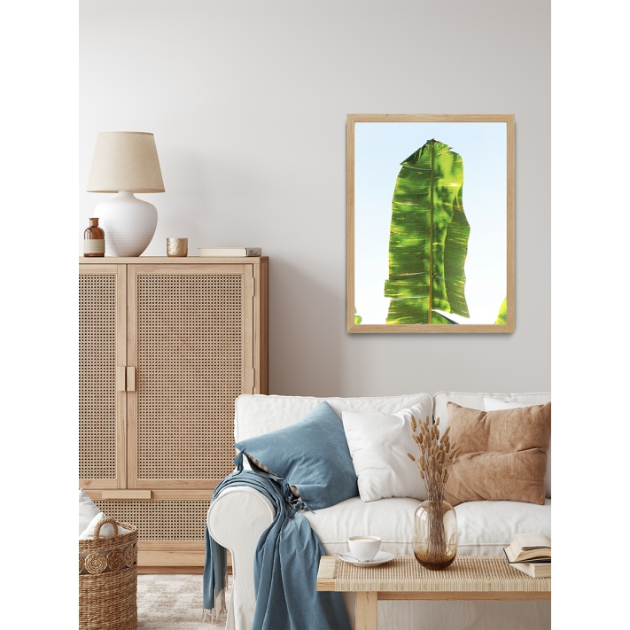 Lámina Hoja Platanero