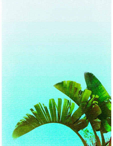 Lámina Hoja Platanero