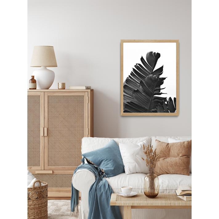 Lámina Hoja Platanero 6