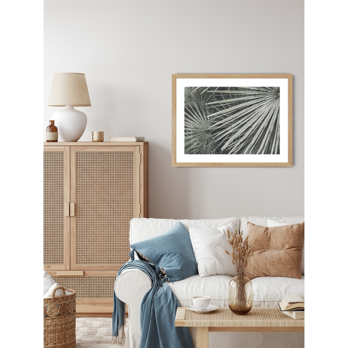 Lámina Hoja Palmera 26