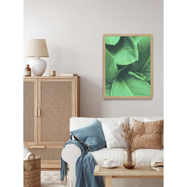 Lámina Hojas Verdes