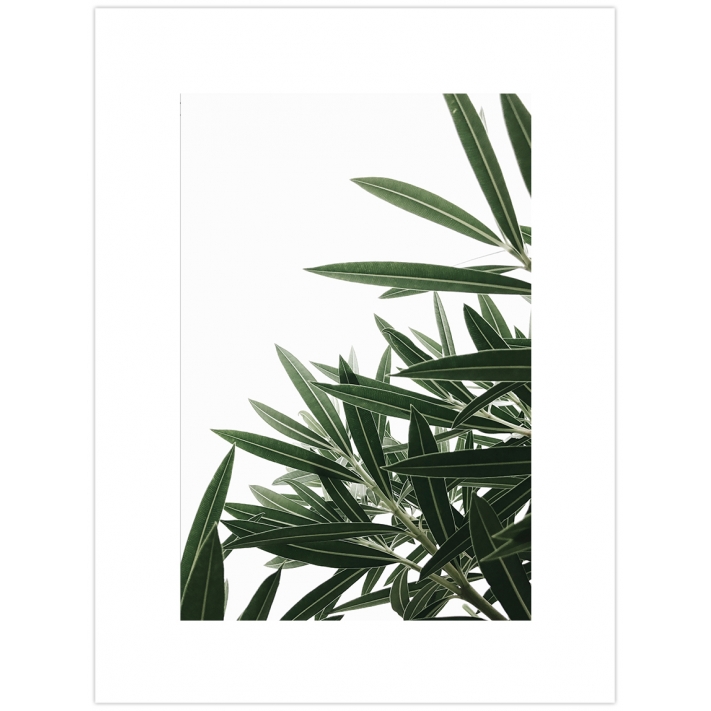 Lámina Hojas Verdes 4