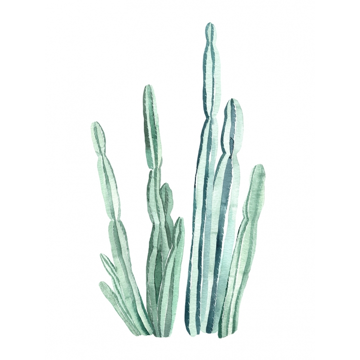 Ilustración Cactus