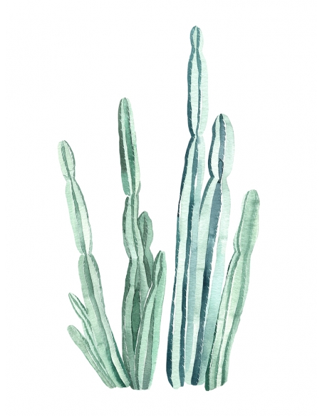 Ilustración Cactus Ilustración Cactus