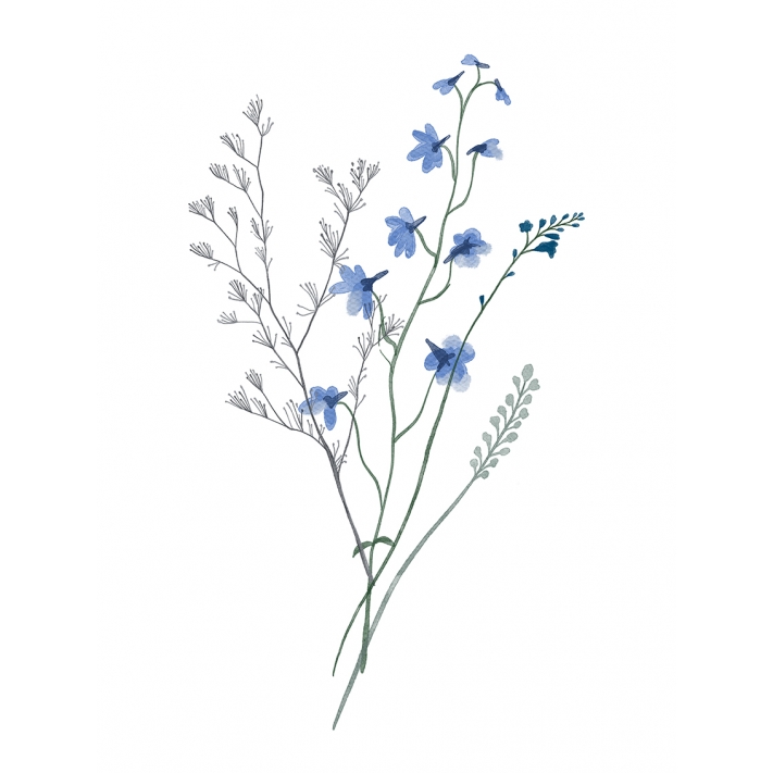 Ilustración Ramo Flores Azules
