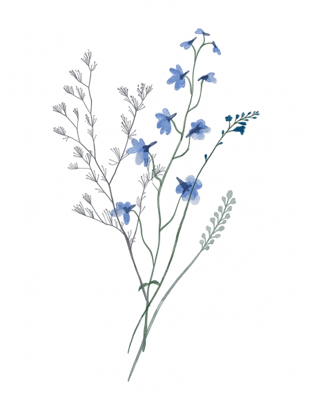 Ilustración Ramo Flores Azules