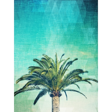 Lámina Palmera California