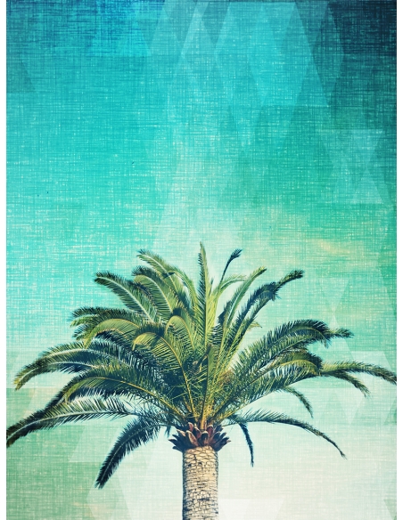 Lámina Palmera California