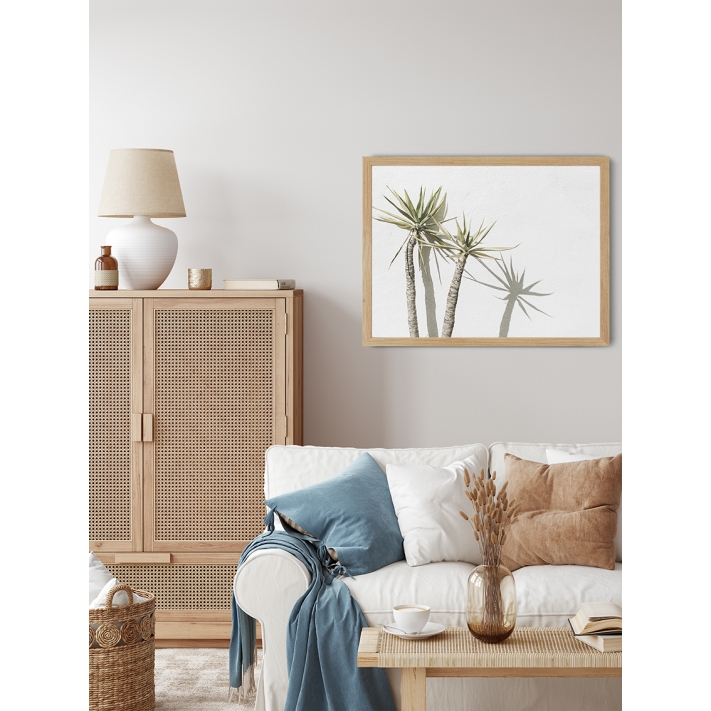 Lámina Palmera con sombra