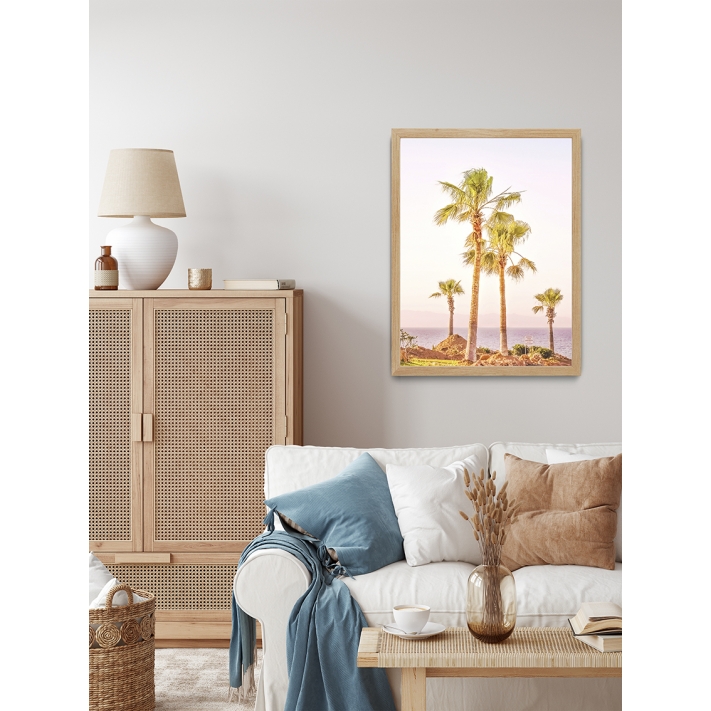Lámina Palmera Costa