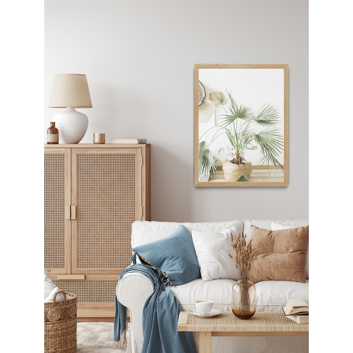 Lámina Palmera Maceta