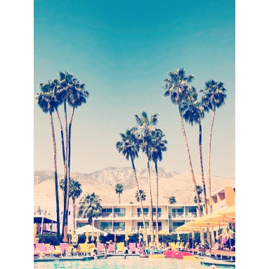 Lámina Palmera Palm Springs