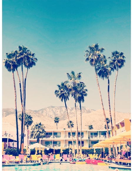 Lámina Palmera Palm Springs