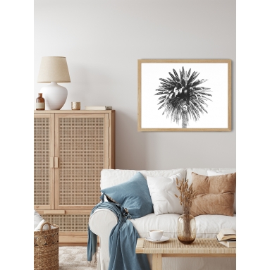 Lámina Palmera 4 2