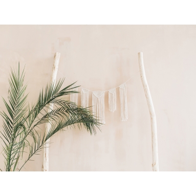 Lámina Palmera 7