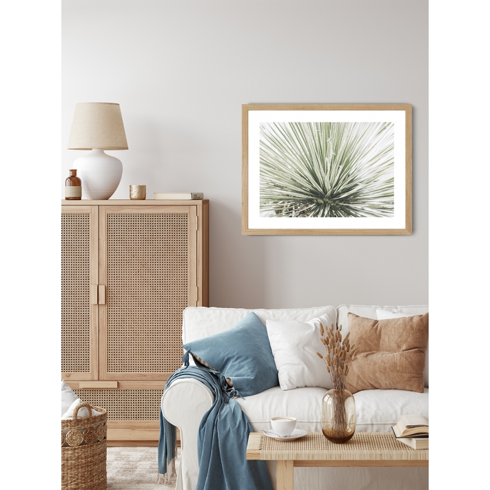 Lámina Palmera 8