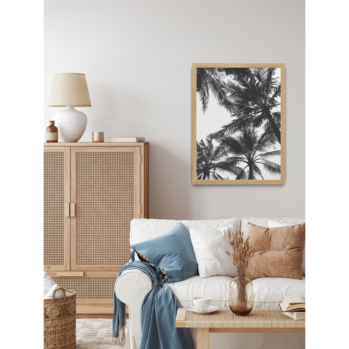 Lámina Palmera 9