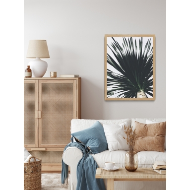 Lámina Palmera 11 2